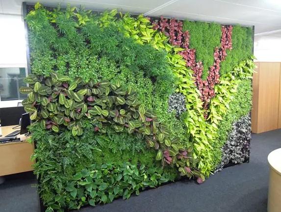 植物墙制作步骤是什么