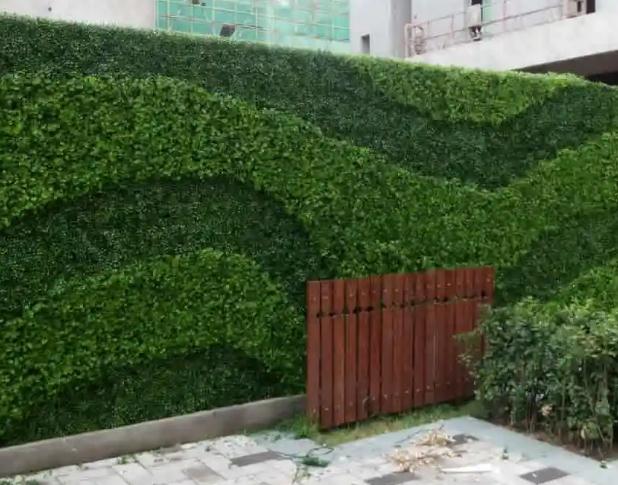 植物墙设计经常犯的几个错误