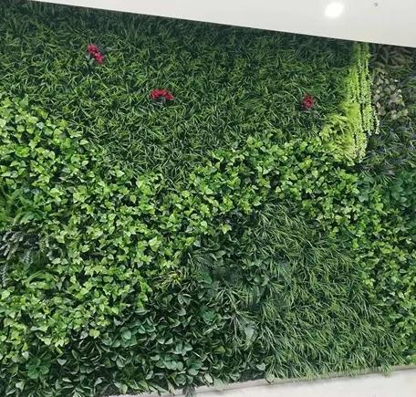 室内植物墙打造对环境的要求