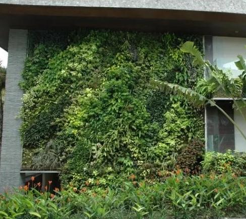 屋顶绿化和垂直绿化是属于立体绿化吗
