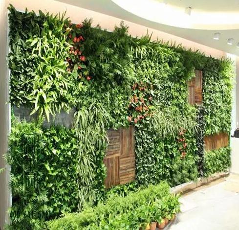 植物墙有几种造景模式