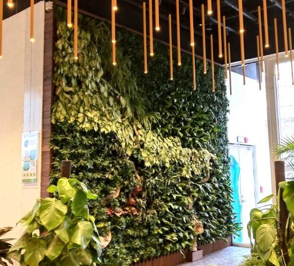 植物装饰墙体绿化怎样做好隔断处理