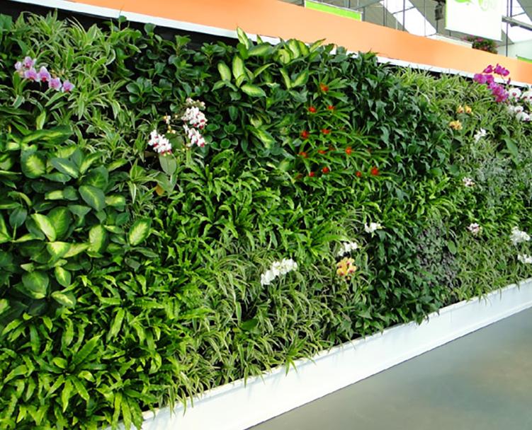 植物绿化墙怎样配色