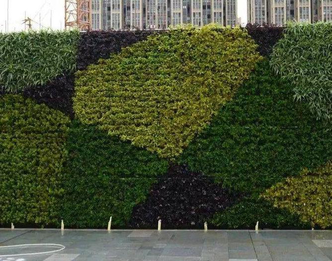 仿真植物墙与天然植物相比怎么样