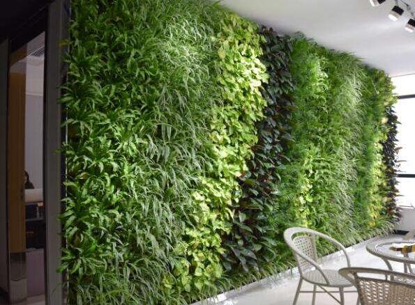 什么样的地方比较适合做绿植墙