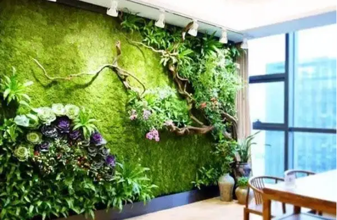 植物墙怎样才能更漂亮？
