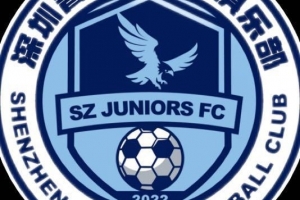 中甲末轮关乎深圳青年人保级生死战，官方宣布将开放部分现场观赛名额。