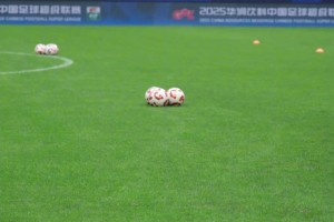 成都蓉城官训日分享：金穗绘梦!成都雄起!